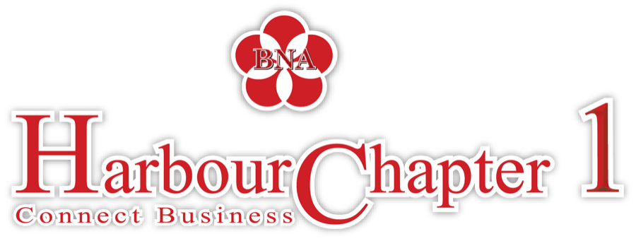 VBNA Harbour Chapter 1, Connect Business